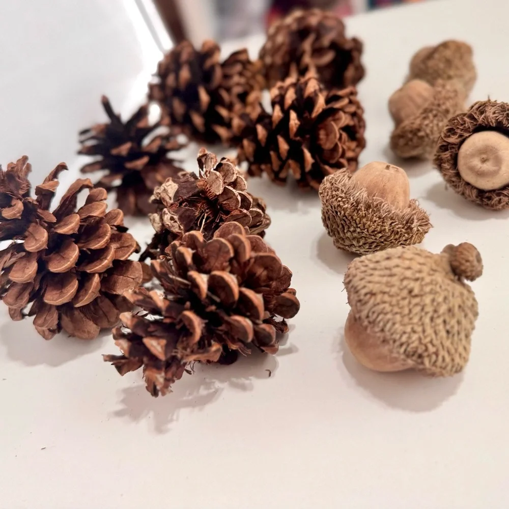 12 Pc. Natural Pinecone & Acorn Set for Rustic Floral Arrangement Wreath Crafts